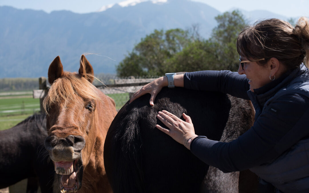 Approfondissement techniques de massages (ATM)